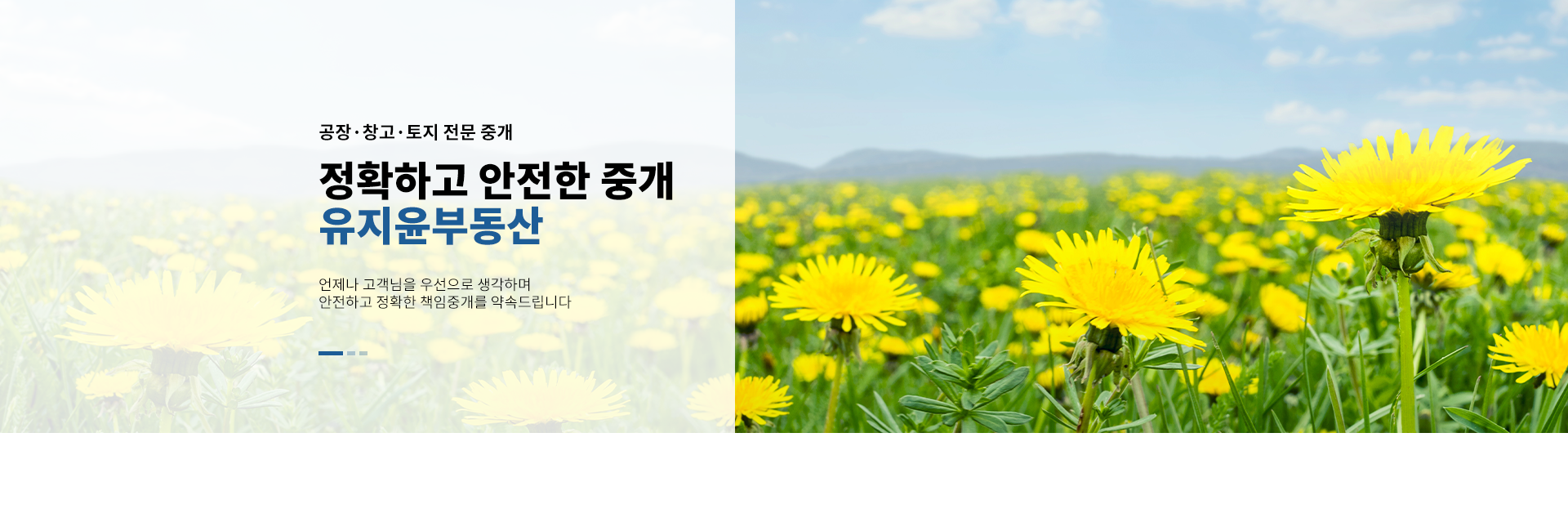 메인 비주얼 이미지
